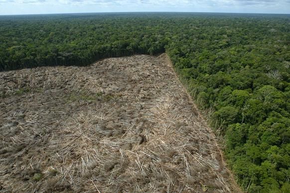STF mantm ao contra acusada de desmatamento e venda de reas pblicas por R$ 20 milhes