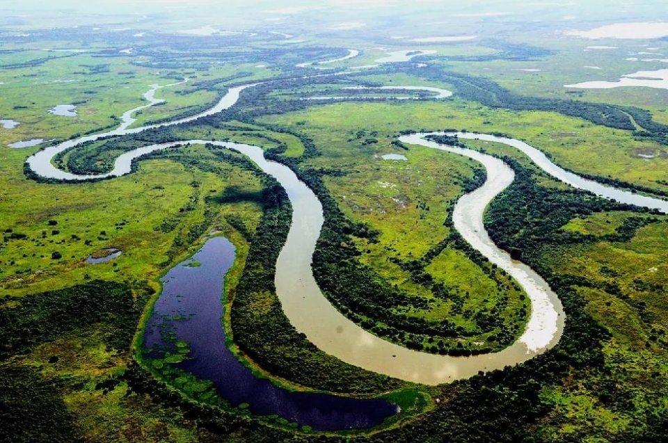 STF reconhece omisso do Congresso e fixa prazo de 18 meses para lei de proteo ao Pantanal