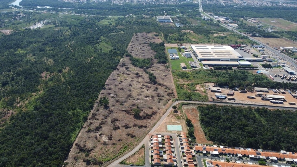 Juza determina nova auditoria em reintegrao de posse aps constatar parcialidade de engenheiro ru na Polygonum