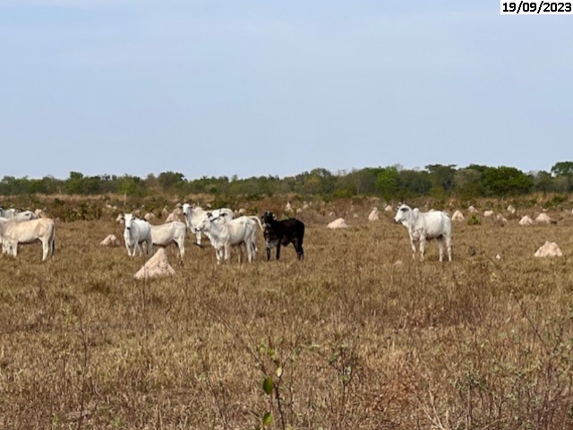 Fazendas, lotes urbanos, chcaras e carros com at 50% de desconto esto no leilo do TRT