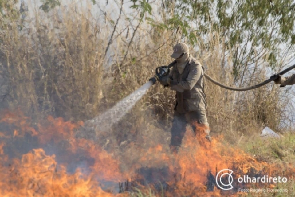 STF determina mobilizao para o combate aos incndios no Pantanal e na Amaznia